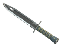 ★ Bayonet | Night